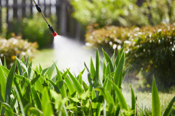 Tamper-Resistant Bait Stations for Rodents in St. Anne