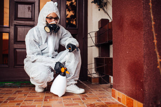 Attic and Crawl Space Rodent Treatment in St. Anne