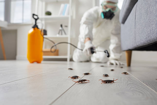 Commercial Rodent Management in St. Anne
